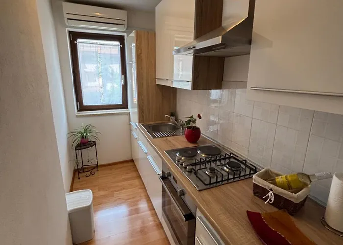 Apartmán Miki-free Parking Rovinj