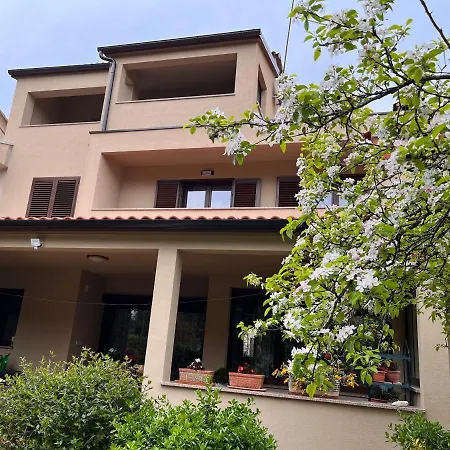 Apartman Miki-free Parking Rovinj